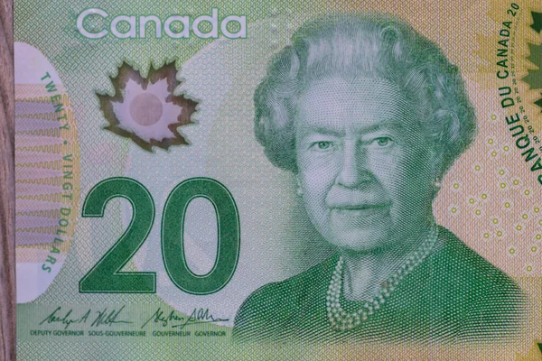 Close Green Canadian Twenty Dollar Bill Queen Elizabeth — Stock Photo, Image