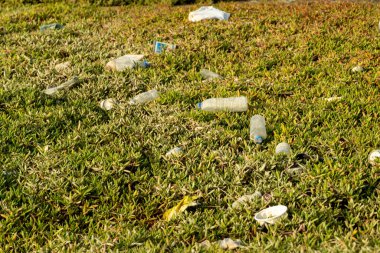 Çevresel kavramlar için atıIan çöp ve şişelerle suların kenarındaki plastik atık kirliliği çimlerin içinde.