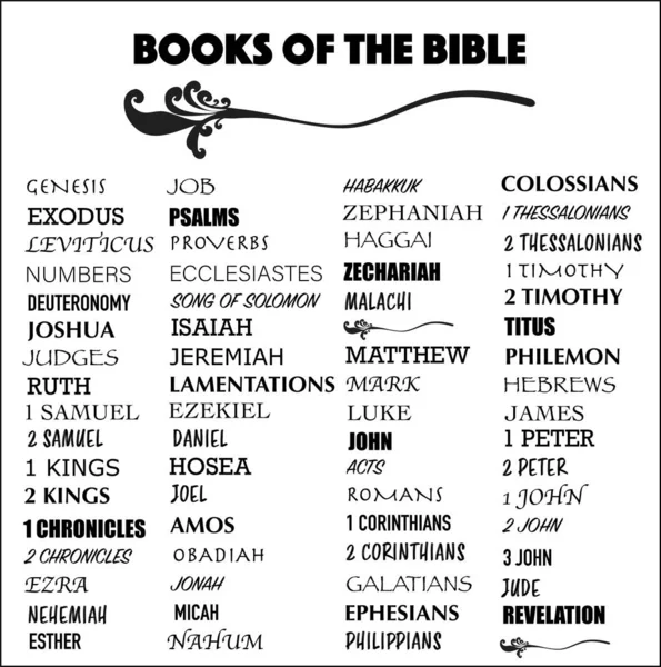 Livros Completos Palavra Bíblica Diagrama Vetorial Colagem Para Conceitos Bíblicos —  Vetores de Stock