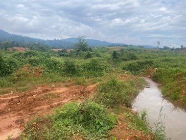 Bereketli Atewa Ormanı 'nın panoramik dağ manzarası bulutlu bir gökyüzünün altında..