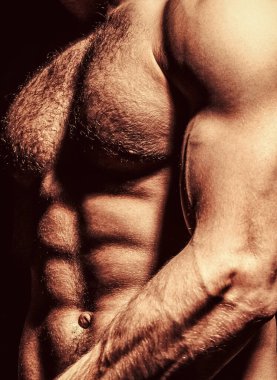 Ab, altılı paket. Kaslı bir adam, çıplak bir erkek, gövde adamı. Spor adamı, vücut geliştirme, fitness. Kas gücü