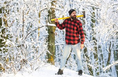 Ormanda baltalı güneş günü adamı. Kış ormanında bir adam. Elinde bir baltayla oduncu. Sakallı oduncu. Kışın ormanda baltayla gezen vahşi sakallı bir oduncu.