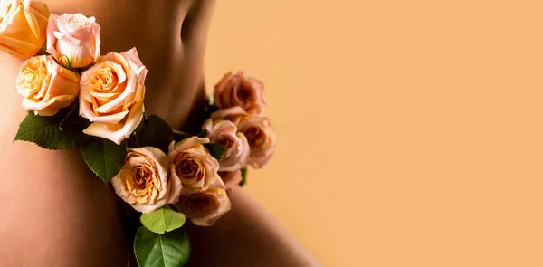 Sensual girl. Gynecology and underwear, womens health. Female diseases, vagina. Woman dressed in white panties a flower, close-up. Sensual panties. female health, reproductive, gynecology isolated — Stock Image Sensual girl. Gynecology and underwear, womens health. Female diseases, vagina. Woman dressed in white panties a flower, close-up. Sensual panties. female health, reproductive, gynecology isolated Royalty Free Stock Photos