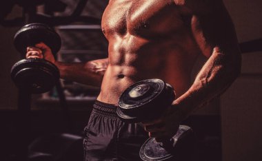 Karın kasları ve pazılar. Dambılı kaslı adam. Spor salonunda güçlü bir vücut geliştirici. Spor salonundaki halterli kaslı adam.