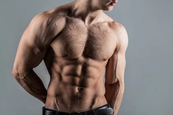 Torso seis pacotes atraente. Seis abdominais. Homem forte com tronco. Homem musculoso sexy. Corpo de homem sensual. Modelo de fitness. Isolado sobre fundo cinzento. Homem bonito com corpo de topless muscular — Fotografia de Stock