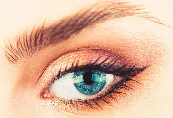 Macro van het menselijk oog. Vrouwelijke ogen met mooie make-up. Naaste wenkbrauw en blauw oog. Vrouw met zachte gladde gezonde huid en glamoureuze professionele gezichtsmake-up — Stockfoto