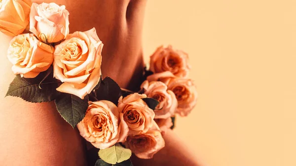 Gynecology and underwear, womens health. Female diseases, vagina — Stock Image Gynecology and underwear, womens health. Female diseases, vagina Royalty Free Stock Images