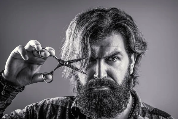 Male in barbershop, haircut, shaving. Bearded man isolated on gray background. Barber scissors, barber shop. Barber scissors. Vintage barbershop, shaving. Mans haircut in barber shop. Black and white