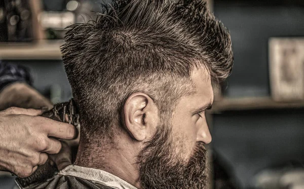 Barbeiro trabalha com cortador de cabelo. Um cliente Hipster a cortar o cabelo. Mãos de barbeiro com cortador de cabelo, de perto. Homem barbudo na barbearia. Conceito de corte de cabelo. Homem visitando cabeleireiro na barbearia — Fotografia de Stock