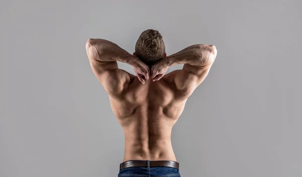 Dos musclé, musclé, dos musclé, torse nu. Homme nu, musculars en bonne santé gars, torse homme, isolé. Homme aux bras musclés, triceps. Taille, tour de taille. Un mec avec un beau torse — Photo