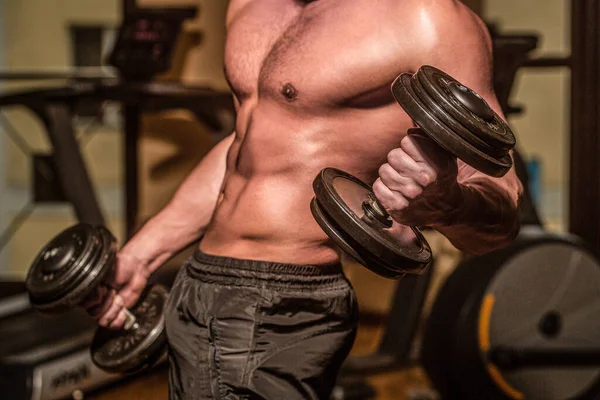 Músculos con mancuerna. Hombre entrenando con pesas. Culturistas fuertes, músculos deltoides perfectos, hombros, bíceps, tríceps y pecho. Tonta. Musculoso culturistas chicos, ejercicios con pesas —  Fotos de Stock