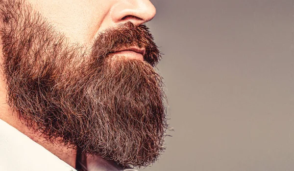 Close up of handsome beard hipster elegant male. Bearded man close up. Beard is his style. Closeup of bearded mans. Male with mustache growing — Stock Photo, Image