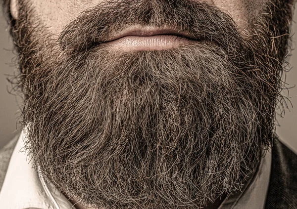 Closeup of bearded mans. Male with mustache growing. Perfect beard. Close-up of young bearded man. Close up of handsome beard hipster elegant male — 스톡 사진