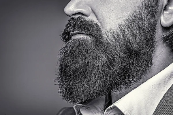 Bearded man close up. Beard is his style. Closeup of bearded mans. Male with mustache growing. Black and white — Stock Photo, Image