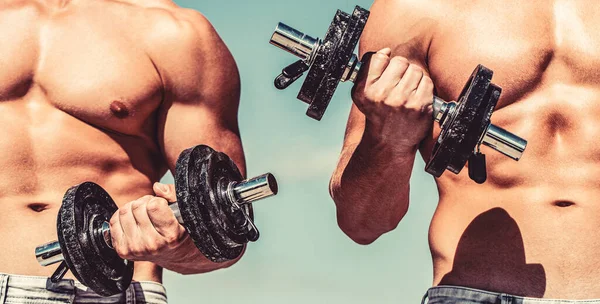 Binaragawan yang kuat, otot deltoid yang sempurna, bahu, otot bisep, tongkat dan dada. Bel bodoh. Pria binaragawan berotot, latihan dengan dumbel. Otot dengan dumbbell. Pelatihan pria dengan dumbbells — Stok Foto