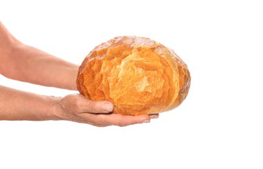 Beyaz ekmek tutan bir adam. Beyaz arka planda izole edilmiş bir somun ekmeği tutan eller. Fırıncı şef ev yapımı ekmek tutuyor. Geleneksel ekşi ekmek fırıncının elinde.