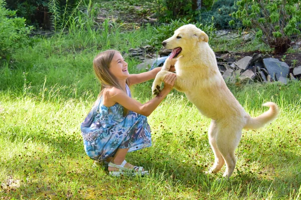 Teenage Girl Plays Labrador Puppy Garden — Stock Photo, Image