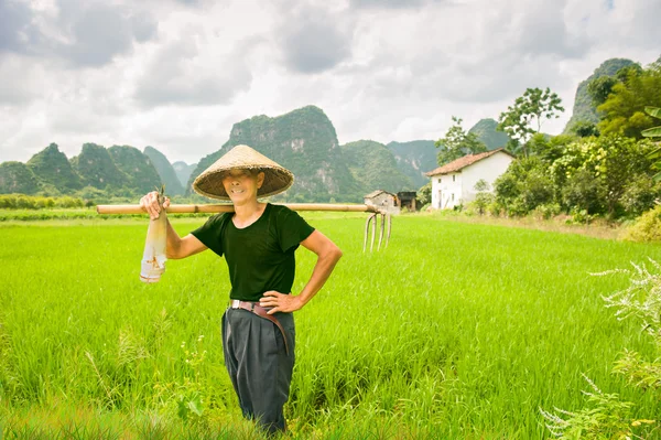 Rice farm — Stock Photo, Image