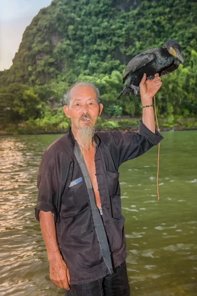 Fiskaren tränare skarvar — Stockfoto