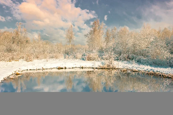 Fresh snow — Stock Photo, Image