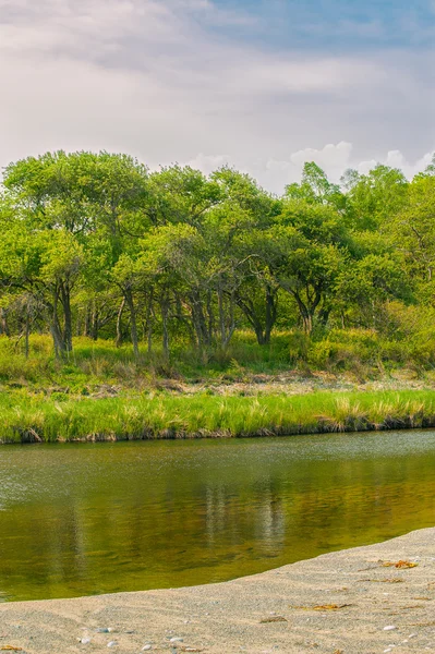 Río salvaje — Foto de Stock