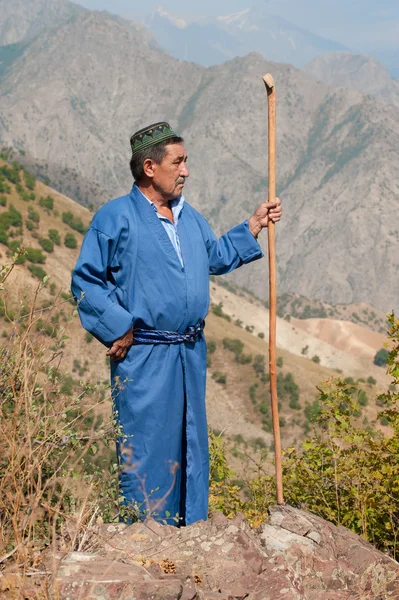 Foto de um pastor de montanha — Fotografia de Stock