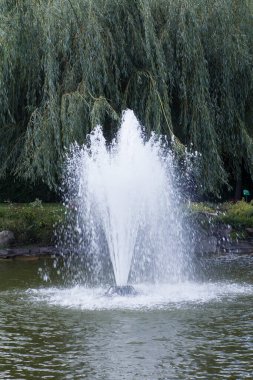 Water fountain in the park against the background of trees