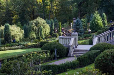 Parktaki taş merdivenler. İçinde thuja, çiçekler, çam iğneleri ve ağaçlar var.