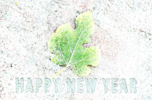 Happy new year snow leaf — Stock Photo, Image