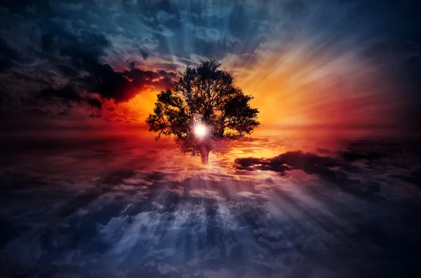 Magical surreal Tree on Cloudscape — Stock Photo, Image