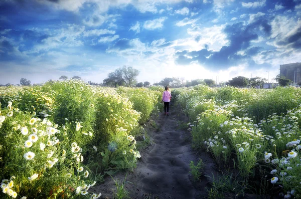 Menina criança andando em campos de flores — Fotografia de Stock