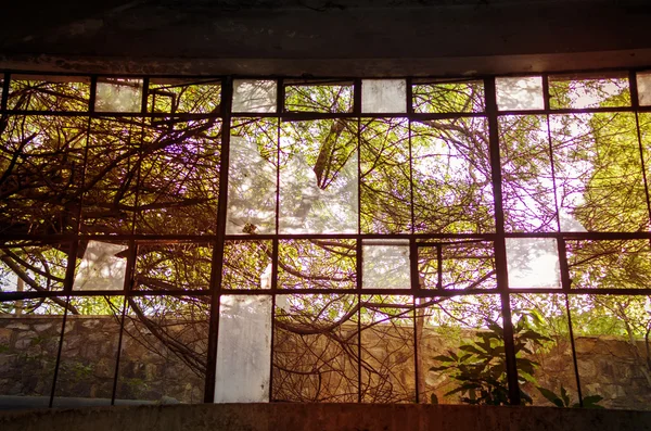 Großes Glasfenster buntes Sonnenlicht — Stockfoto