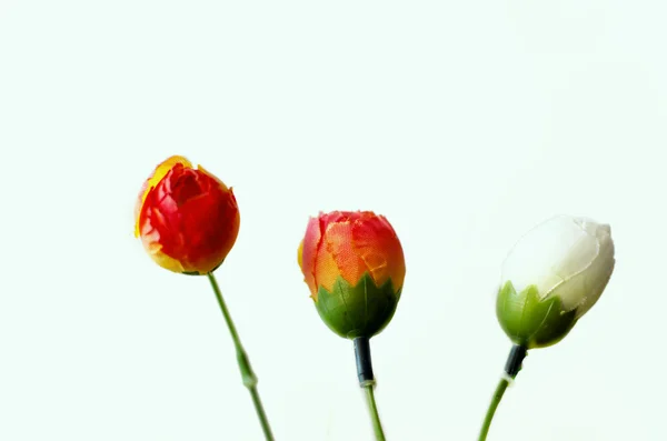 Artificial rose flowers buds — Stock Photo, Image