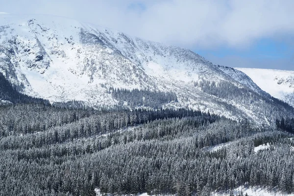 Paysage enneigé au milieu de l'hiver dans les montagnes tchèques . — Photo