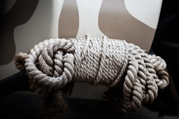 Cor detalhe corda — Fotografia de Stock