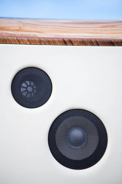 Car speaker detail — Stock Photo, Image