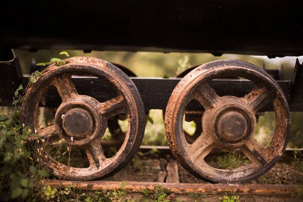 Zbliżenie Zardzewiałe Metalowe Koła Opuszczonego Wagonu Roślinami Rosnącymi — Zdjęcie stockowe