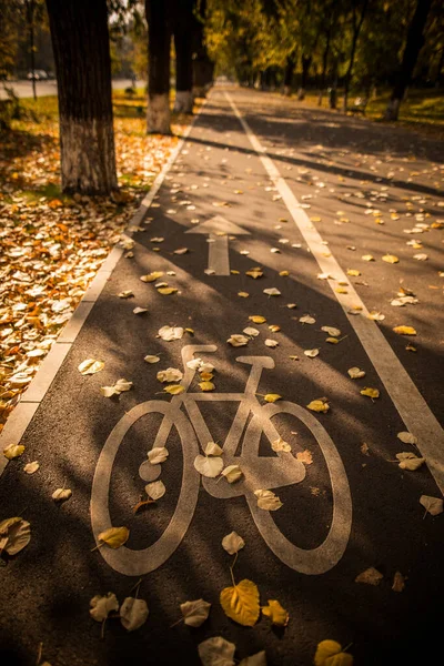 Color Image Bicycle Lane Symbol Park Autumn Day — Stock Photo, Image