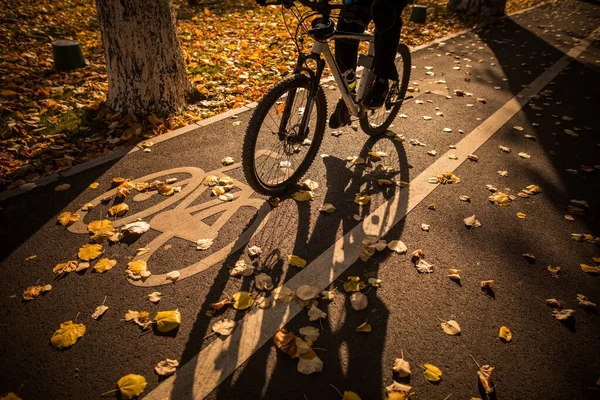 Kolorowy Obraz Symbolu Ścieżki Rowerowej Parku Jesienny Dzień Przejeżdżającym Rowerzystą — Zdjęcie stockowe