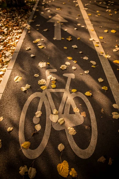 Kolorowy Obraz Symbolu Ścieżki Rowerowej Parku Jesienny Dzień — Zdjęcie stockowe
