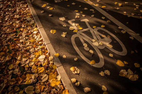 Color Image Bicycle Lane Symbol Park Autumn Day — Stock Photo, Image