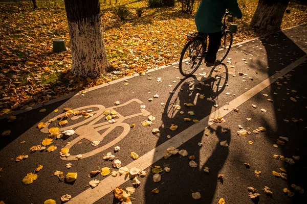 Imagem Colorida Símbolo Pista Bicicleta Parque Dia Outono — Fotografia de Stock