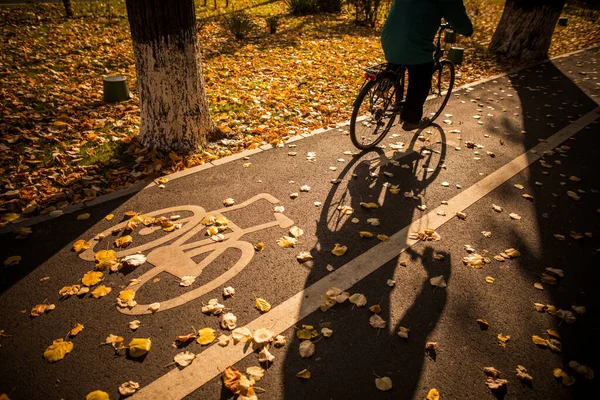 Immagine Colori Una Pista Ciclabile Simbolo Parco Una Giornata Autunnale — Foto Stock