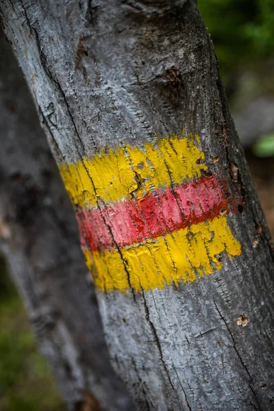 Colore Primo Piano Alcune Marcature Turistiche Varie Forme — Foto Stock