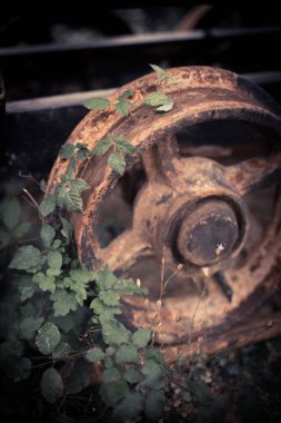 Terk edilmiş bir vagonun paslı metal tekerleklerini yakından çek..