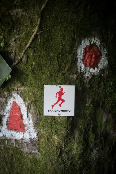 Imagen Una Huella Pista Árbol Junto Con Señales Turísticas — Foto de Stock