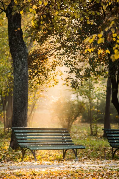 秋天的一天 公园里没有人的长椅的彩色图像 — 图库照片