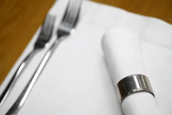 Dinner in a restaurant — Stock Photo, Image