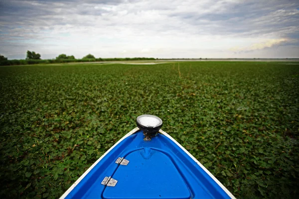 Boot — Stockfoto