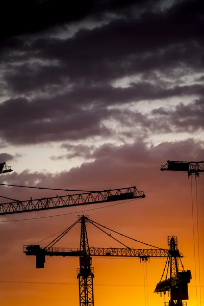 Cranes at dusk — Stock Photo, Image